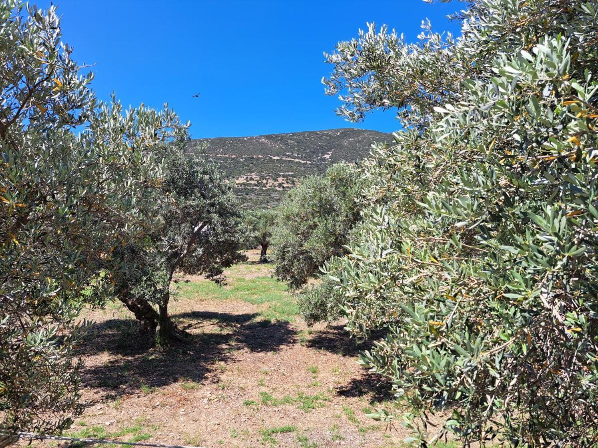 Madilides Lägenhet Platis Gialos  Exteriör bild
